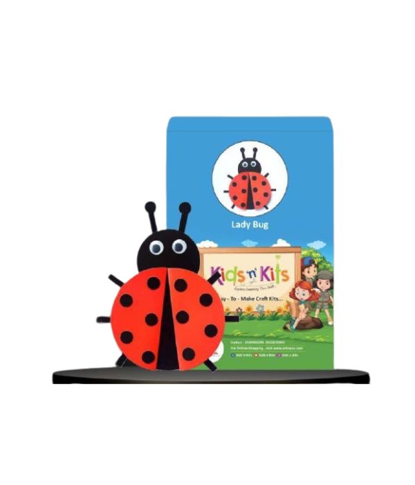 My Genie Box Lady Bug Diy Kit