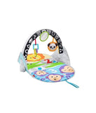 Fisher Price 2-In-1 Flip And Fun Activity Gym Baby Gear