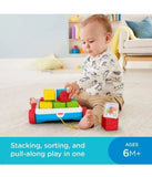 Fisher Price Pull-Along Activity Blocks