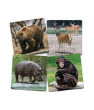 Frank In The Zoo - Set of 4 Puzzles