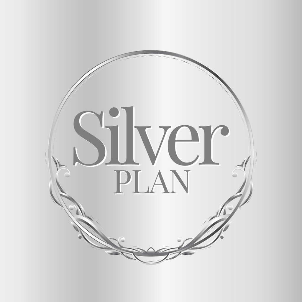 Silver Rental Plan